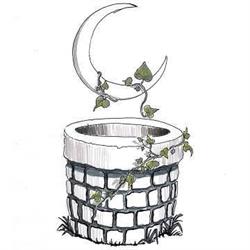 ERBORISTERIA LA LUNA NEL POZZO - ALIMENTI BIOLOGICI