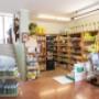 Gallery Professionale