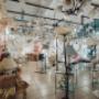 Gallery Professionale