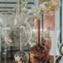 Gallery Professionale