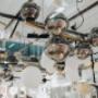 Gallery Professionale