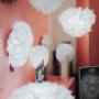 Gallery Professionale