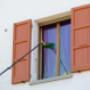 Gallery Professionale