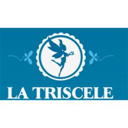 Ludoteca La Triscele