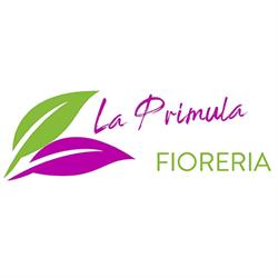 La Primula Fioreria
