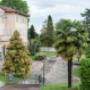 Gallery Professionale