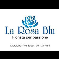 La Rosa Blu' Di Longhi Marino