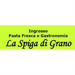 Pastificio La Spiga di Grano