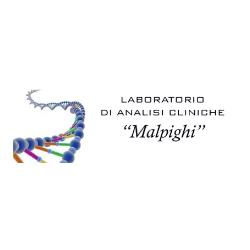 Laboratorio di Analisi Chimico Cliniche Malpighi