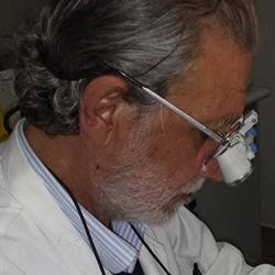Laganà Dott. Demetrio