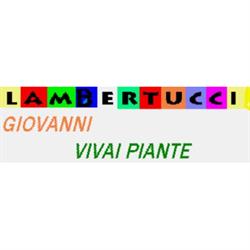 Vivaio Lambertucci Giovanni