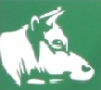 Macelleria Langiu