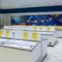 Gallery Professionale