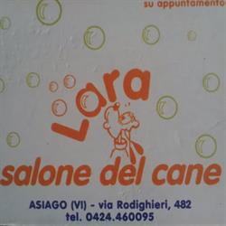 Lara Salone Del Cane