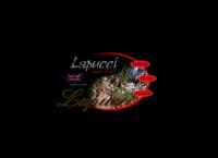 Lapucci Snc Di Lapucci Guido & C