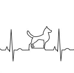 Larini D. & Marcoaldi M. Studio Ass. Med. Veterinario