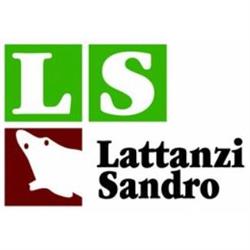 Lattanzi Scavi