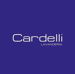 Lavabiancheria Cardelli Mario Mario