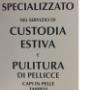Custodia