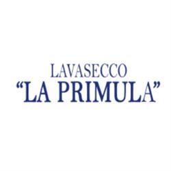 Lavasecco La Primula