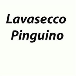 Lavasecco Pinguino