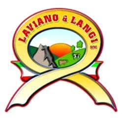 Laviano e Langi