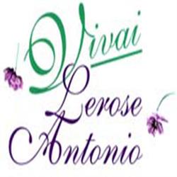 Antonio Le Rose Vivai