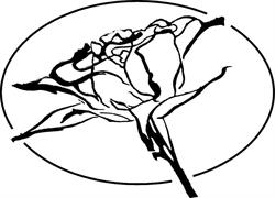 Le Rose Di Sharon Di Buratto