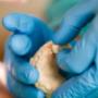 Gallery Professionale