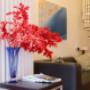 Gallery Professionale