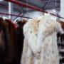 Gallery Professionale