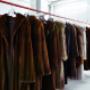 Gallery Professionale