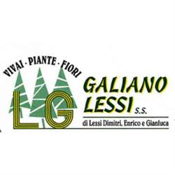 Vivai Galiano Lessi
