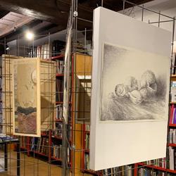 Libreria Plinio Il Vecchio (S.n.c.)