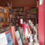 Vetrina Libreria Robin