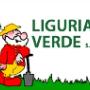 Liguria Verde