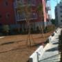 Manutenzione Giardini