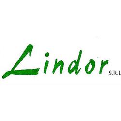 Lindor - Impresa di Pulizie dal 1973