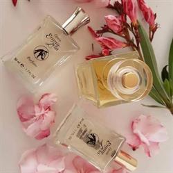 Linea Emmezeta Parfum SAS Di Rizzo T. & C.