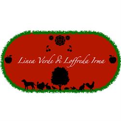 Linea Verde
