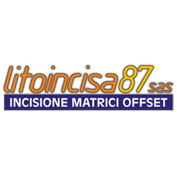 Litoincisa 87