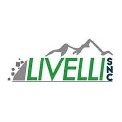 Livelli Cava Ronchi di Pietra Arenaria