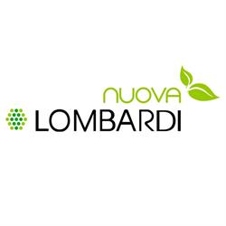 Lombardi SRL