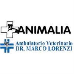 Ambulatorio Veterinario Dr. Marco Lorenzi