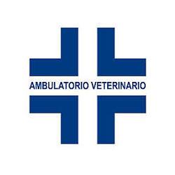 Ambulatorio Veterinario Lostia Dr. Michele