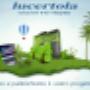 Lucertola Web Agency