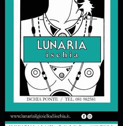 Lunaria Di Di Meglio Michela Michela