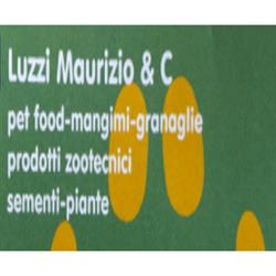 Luzzi Maurizio