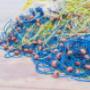 Genepesca M.B. Surgelati Livorno