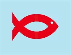 Genepesca M.B. Surgelati